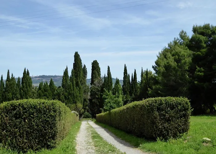 Holiday home In With Pool And Terrace